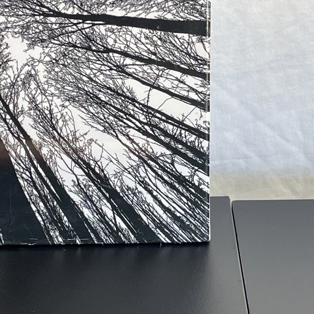 Bgraamiens Brain Games Forest in Black and White 1000 Piece Puzzle NEW SEALED